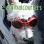 animalcouriers.com