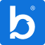 bluebirdcare.ie