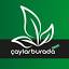 caylarburada.com