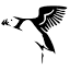 lundybirdobs.org.uk