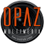 opazmultimedia.com