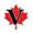visalink.ca