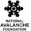 avalancheschool.org