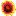 floriculture.ru