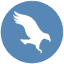 improveinternational.com