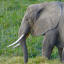 kenyatrainbooking.com