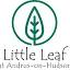 littleleafschool.com