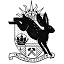 newhamcitizen.co.uk