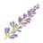 undetourenprovence.com