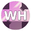 wh555.net