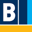 bergmann-online.de