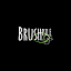 brushpilejig.com