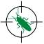 dezexpert.by