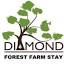 diamondforest.com.au
