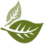 pedersenfh.com
