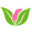 amaraorganics.com
