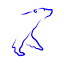 arcticfocus.org