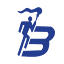 bardiyagroup.com