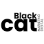 blackcatmarketingdigital.com.br