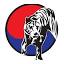 kingtigertaekwondo.com