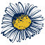 mehrshidart.com