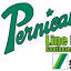 pernicanoslinepumps.com