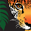 rainforesttrust.org