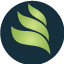 rannthai.com