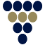 vin-x.com