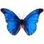 voyance-florence.com