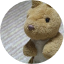 yuji.software