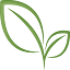 zengincay.com