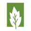allentxlandscaping.com