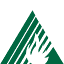 cafiresafecouncil.org