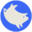 cochondingue.com