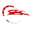 kyalamimotorsport.co.za