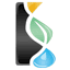 newmedicinefoundation.com