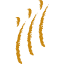 nwaf.org