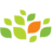 soilindia.net