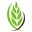 aaaid.org