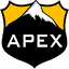 apexsecurityinc.com