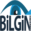 bilginguvenlik.com