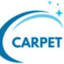 carpetcleaners.africa