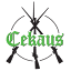 cekaus.pl