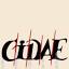cidae.com