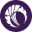 cricketscotland.com