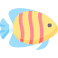 diving.md