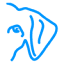 dutchdogdesign.com