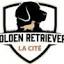 lacitegoldenretriever.com