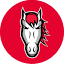leicesterriders.co.uk